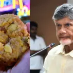 Tirumala Laddu