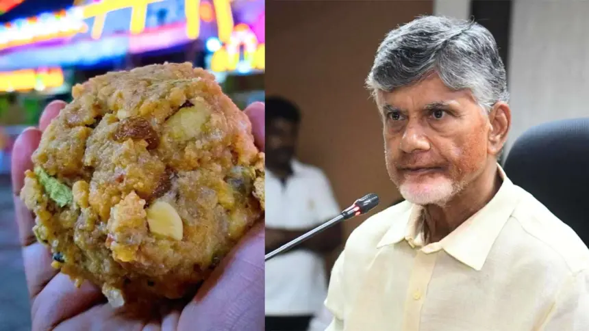 Tirumala Laddu