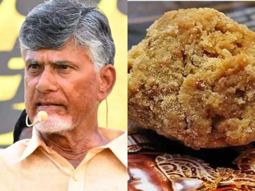 cm chandrababu shocking allegations