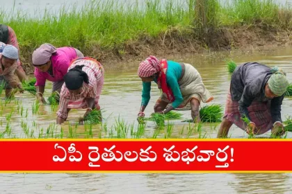 AP farmers good news announced by CM Chandrababu in 2025