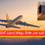 Cheapest flight tickets 2025 guide for Andhra Pradesh