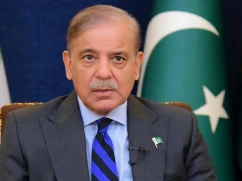 Shehbaz Sharif says open to 'neutral, transparent' probe into attack