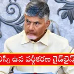 Andhra Pradesh SC sub-categorisation guidelines ordinance 2025
