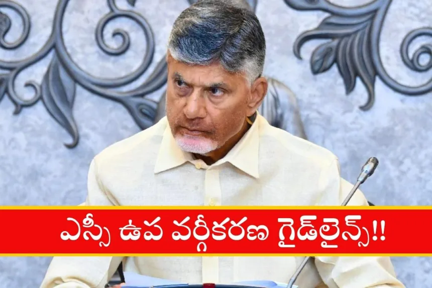 Andhra Pradesh SC sub-categorisation guidelines ordinance 2025