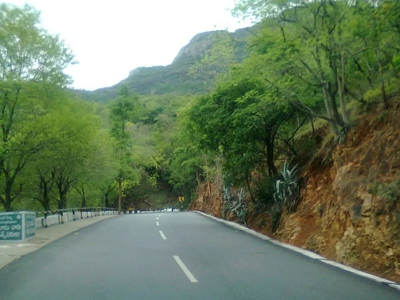 Safety signs for Tirumala ghat road rules