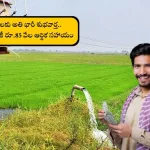 AP government announces free electricity and ₹85,000 aid for farmers, 2025
