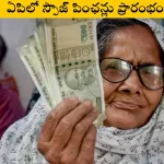 AP government starts spouse pension applications under NTR Bharosa, 2025