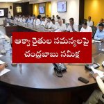 CM Chandrababu Naidu reviewing aqua farmers problems in Andhra Pradesh