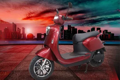 Liger X Electric Scooter with self-balancing technology