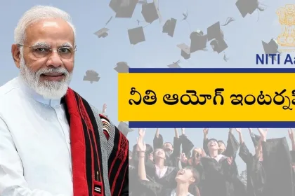 NITI Aayog Internship 2025 Overview