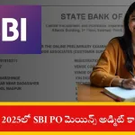 SBI PO Mains Admit Card 2025 Overview
