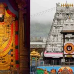 Priests request TTD to extend Ekanta Seva time at Srivari Temple