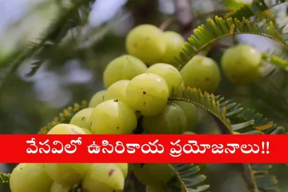 Fresh amla fruits and juice for boosting immunity and hair health in summer