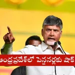 Andhra Pradesh government officials reviewing pension list for removals in 2025 verification process