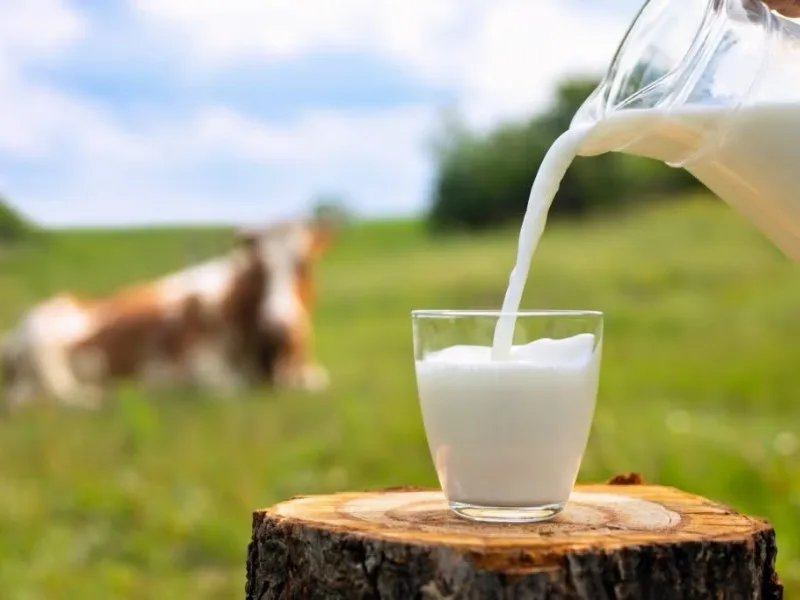 Herbal tea and fruits as healthy morning alternatives to milk in 2025