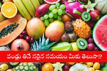 Fresh seasonal fruits like apples and oranges for a healthy diet in 2025