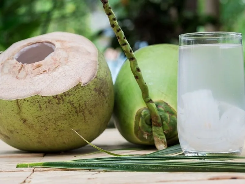 Tender coconuts sold at Benz Circle market in Vijayawada for healthy hydration, 2025