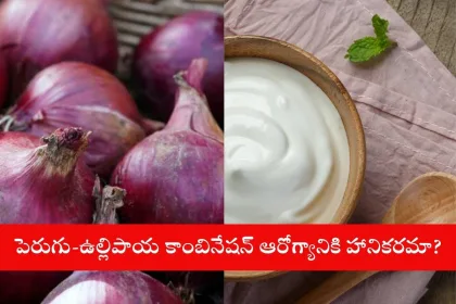 Bowl of curd and onion raita on a Vijayawada dining table, highlighting health risks in 2025