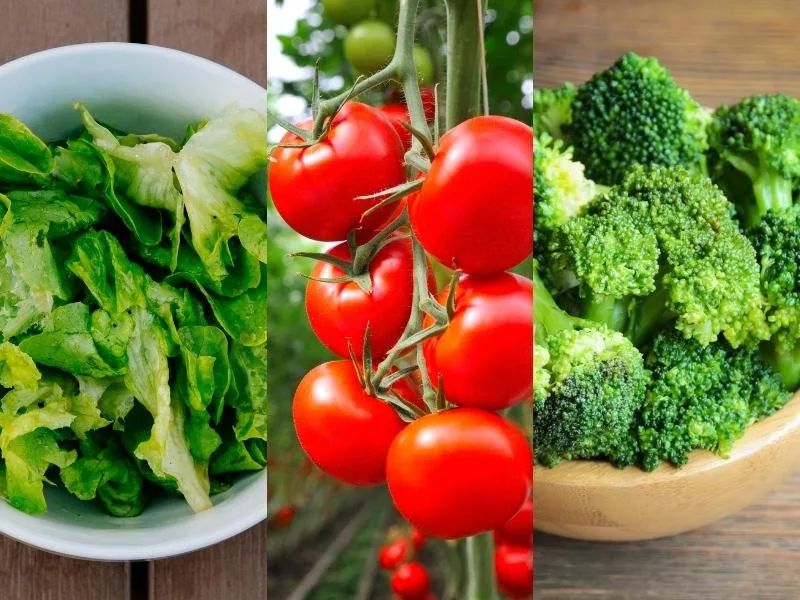 Plate of lettuce, tomato, and broccoli, superfoods recommended for diabetes control