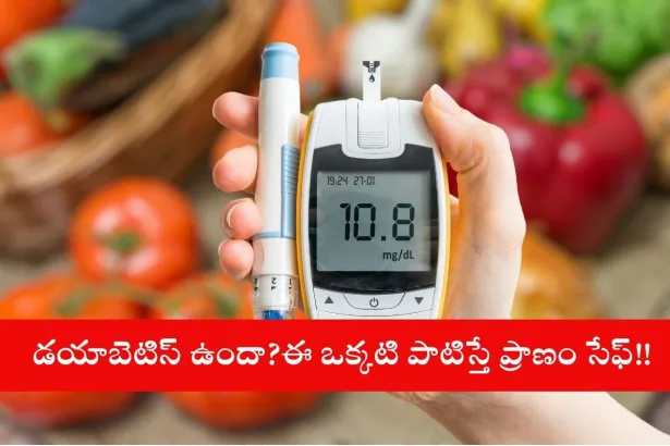 Healthy food and exercise for diabetes prevention in Telugu states