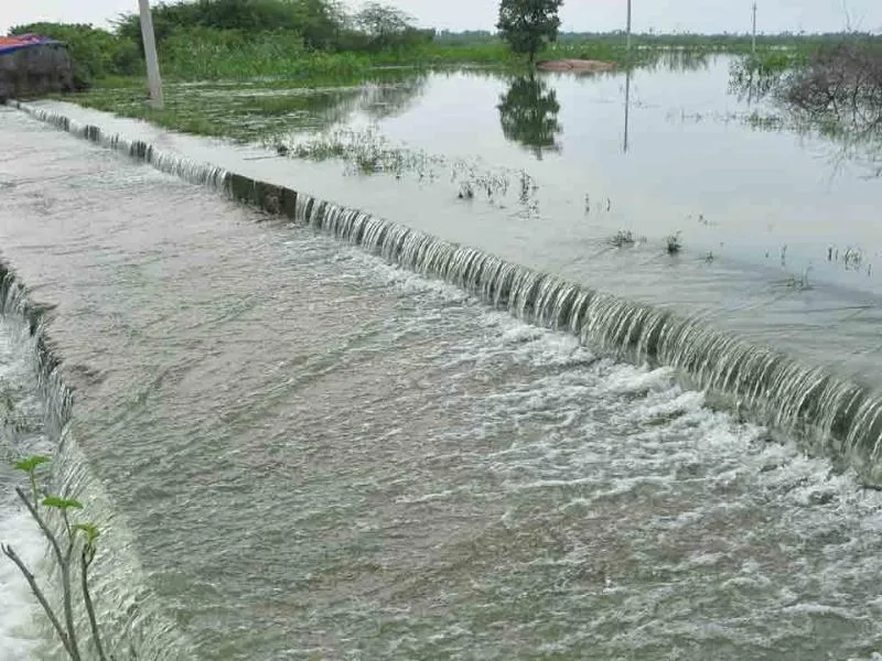 Volunteers cleaning a Koneru pond under Operation Koneru in Rajahmundry, 2025