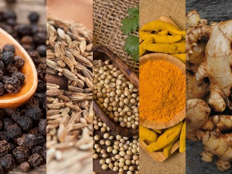 Coriander and cumin seeds promoting kidney health in 2025