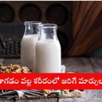 Glass of milk with warning about empty stomach consumption in 2025