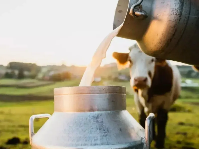 Drop of milk on a surface to check for water adulteration in 2025