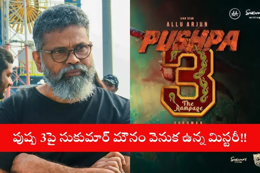 Allu Arjun as Pushpa Raj in a promotional still, amid Sukumar’s silence on Pushpa 3 updates