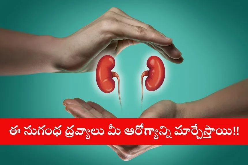 Black pepper and turmeric for kidney health and cancer prevention in 2025