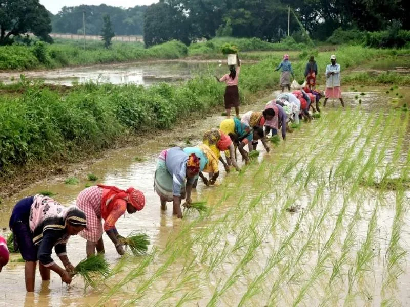 Andhra Pradesh farmer receiving Annadata Sukhibhava scheme benefits in 2025