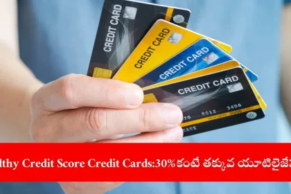 Urban cardholder tracking credit card spending to maintain healthy credit score in 2025