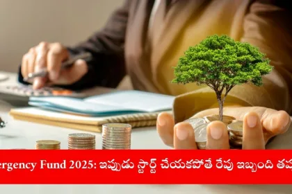 professional setting up emergency fund savings on mobile app, India 2025