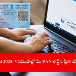 user downloading ePAN card on laptop, India 2025