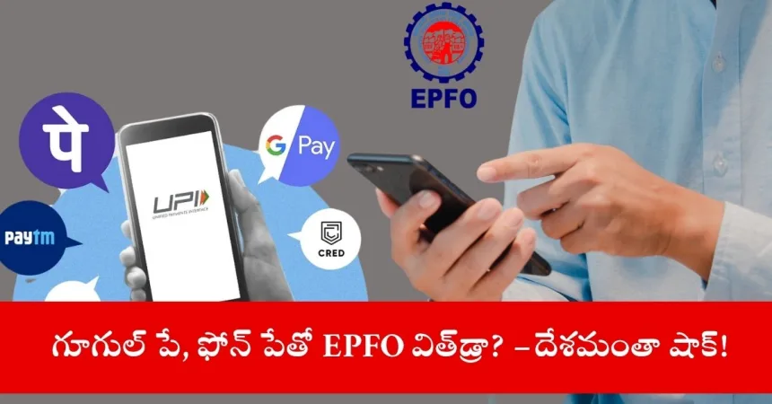 user accessing EPFO 3.0 UPI services on smartphone, India 2025