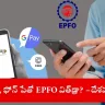 user accessing EPFO 3.0 UPI services on smartphone, India 2025
