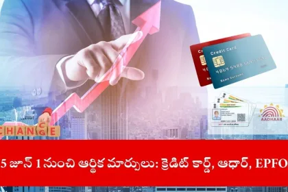 user managing finances with credit card and Aadhaar, India 2025