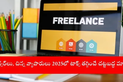 freelancer managing tax deductions on financial app, India 2025