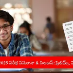 Urban aspirant preparing for IBPS RRB PO 2025 prelims and mains exam