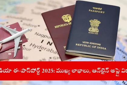 holding India’s biometric e-passport with RFID chip, 2025