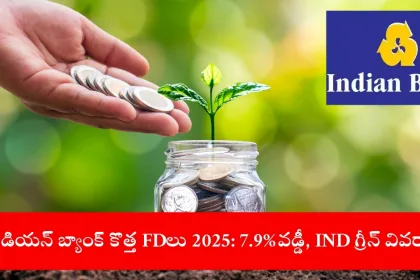 investor reviewing Indian Bank fixed deposit schemes with 7.9% interest in 2025