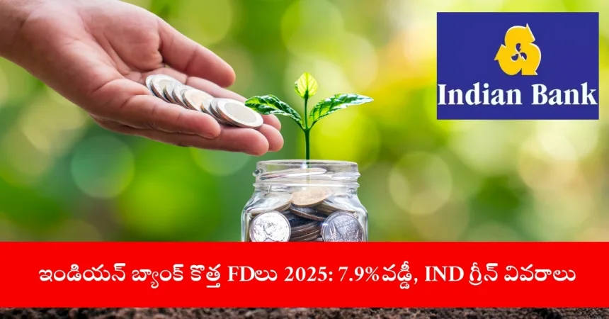 investor reviewing Indian Bank fixed deposit schemes with 7.9% interest in 2025