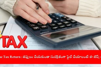 taxpayer filing income tax return online in India, 2025
