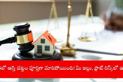 Online property registration process under New Property Law 2025