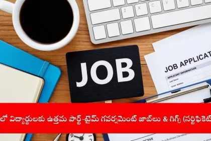 Student applying for part-time government job online, India 2025