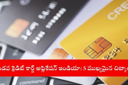 user applying for a second credit card in India, 2025