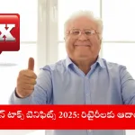 citizen reviewing tax benefits for 2025 in India