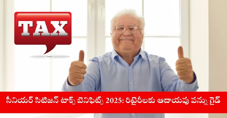 citizen reviewing tax benefits for 2025 in India