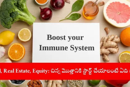preparing superfoods salad for immunity boost, 2025