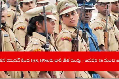 IAS officer reviewing 8th Pay Commission salary hike details online, India 2025